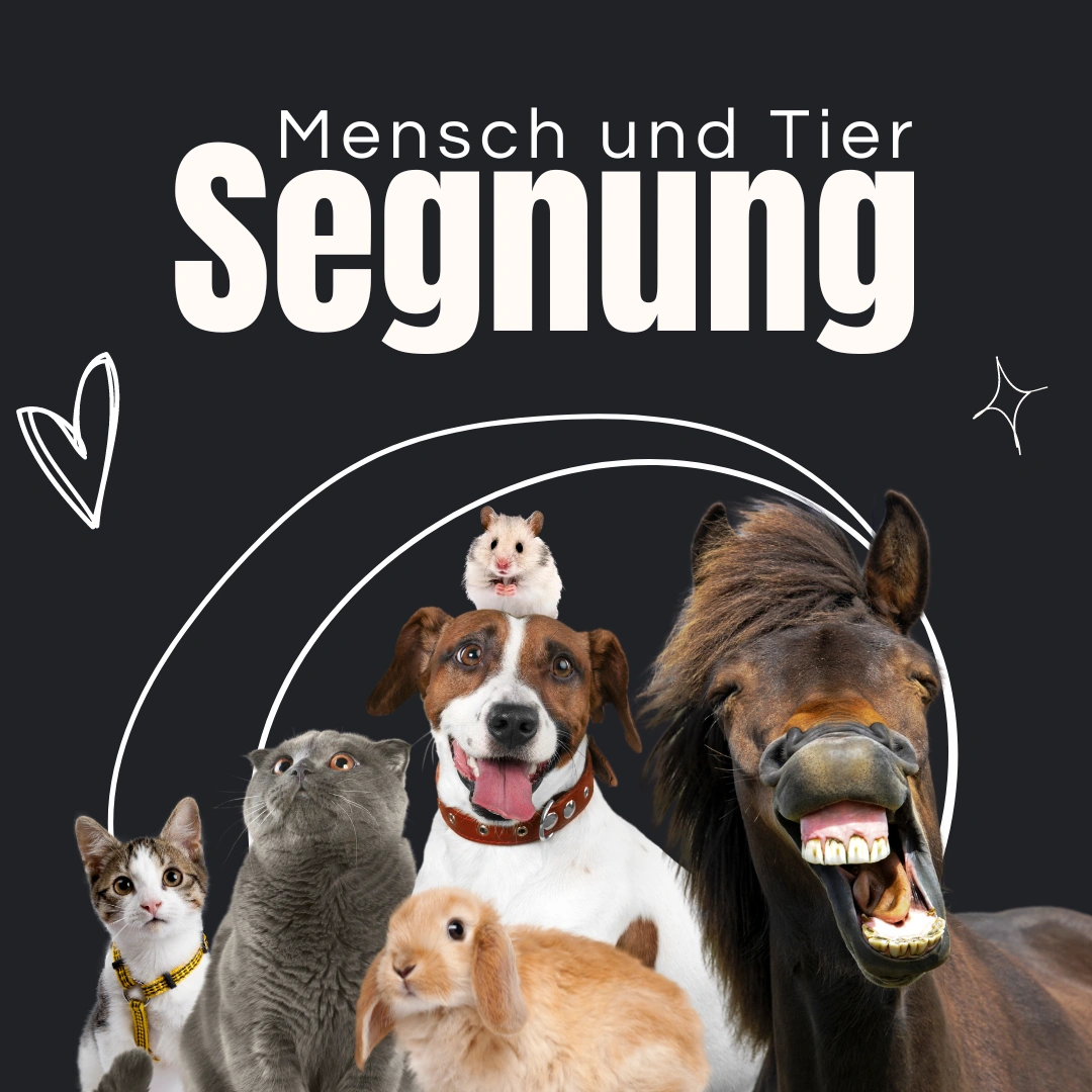 Hinweisbild für den Mensch-und Tiersegnungsgottesdienst. Es sind verschiedene Haustiere zu sehen: Hund, Hamster, Kanichen, Pferd.