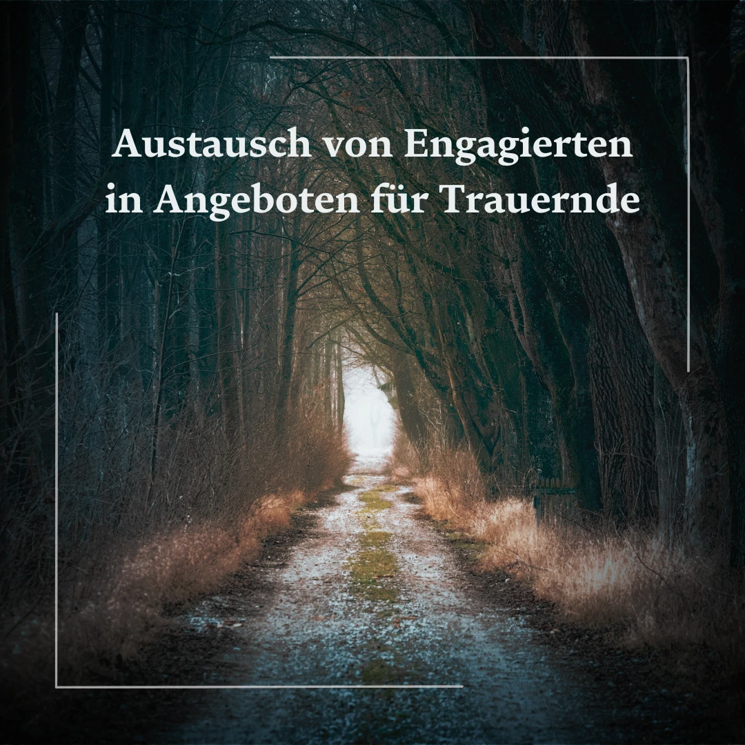 Ein Werbebild: man sieht einen Waldpfad, der von düsteren Bäumen gesäumt wird. Am Ende führt der Weg ins Helle.